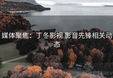 媒体聚焦：丁冬影视 影音先锋相关动态