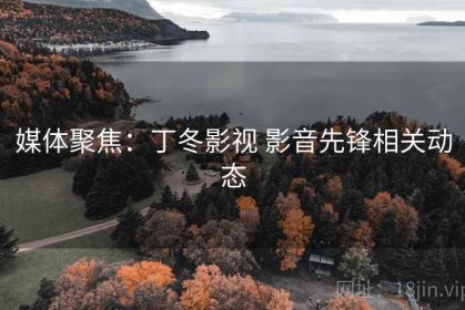 媒体聚焦：丁冬影视 影音先锋相关动态