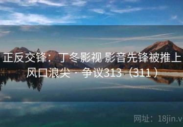 正反交锋：丁冬影视 影音先锋被推上风口浪尖 · 争议313（311 ）