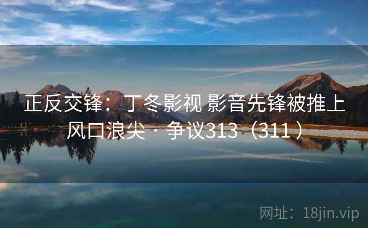 正反交锋：丁冬影视 影音先锋被推上风口浪尖 · 争议313（311 ）