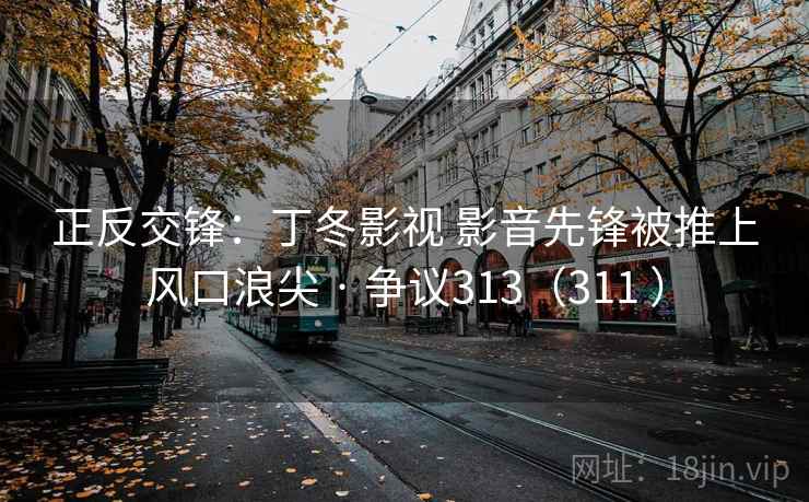 正反交锋：丁冬影视 影音先锋被推上风口浪尖 · 争议313（311 ）