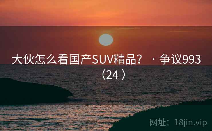 大伙怎么看国产SUV精品？ · 争议993（24 ）