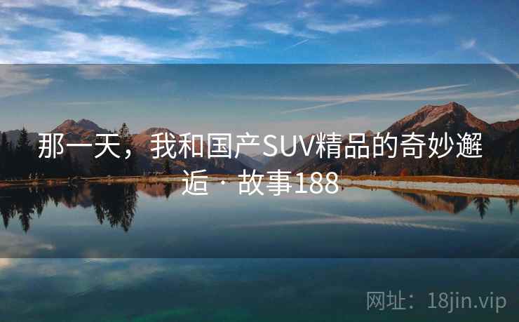 那一天，我和国产SUV精品的奇妙邂逅 · 故事188