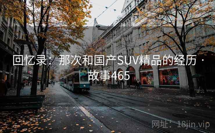 回忆录：那次和国产SUV精品的经历 · 故事465